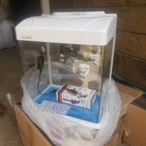 New Imported Aquarium - - thumbnail 2