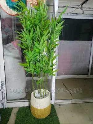 Bamboo Sticks With Basket and Pebble Stones