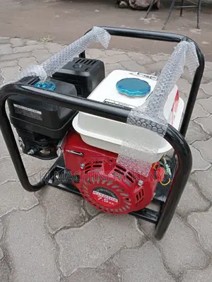 High Pressure Windsor Pump- Available