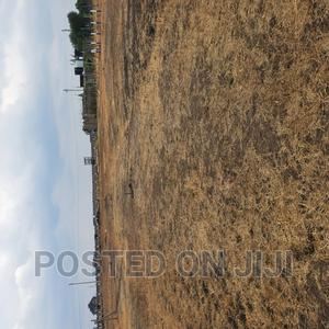 FANAKA Plots - thumbnail 2