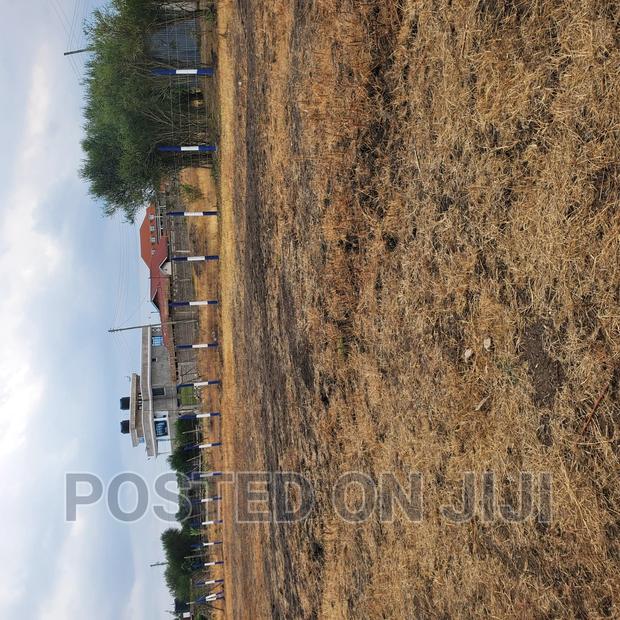 FANAKA Plots - thumbnail 6