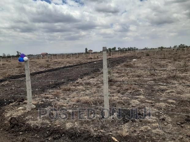 Kimunyu Plots - main view