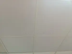 Waterproof Ceiling Tiles 60*60cm