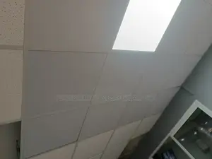 Waterproof Ceiling Tiles 60*60cm