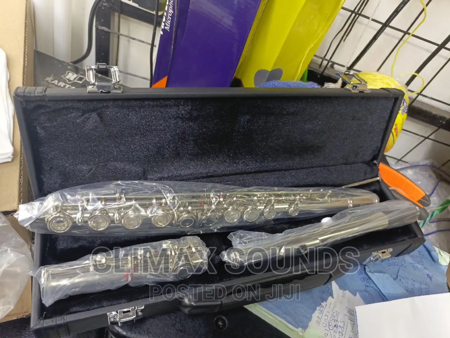 Professional Flute Suzuki