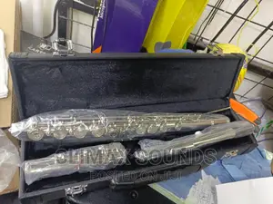 Professional Flute Suzuki
