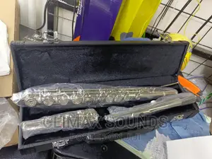 Professional Flute Suzuki