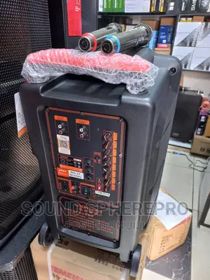 Soontran 12 Inch Powered Speaker With Two Microphone