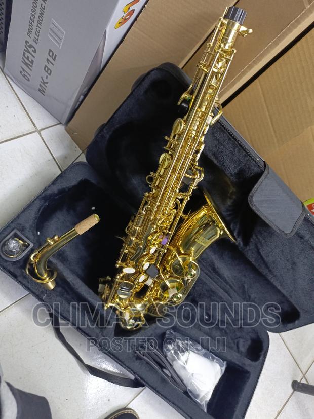 Alto Saxophone Premier S - main view