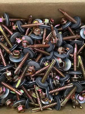 Self Tapping Screw (Greenhouse/Roofing) 38mm