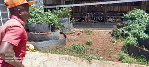 Modifieying Physical Features of a Land