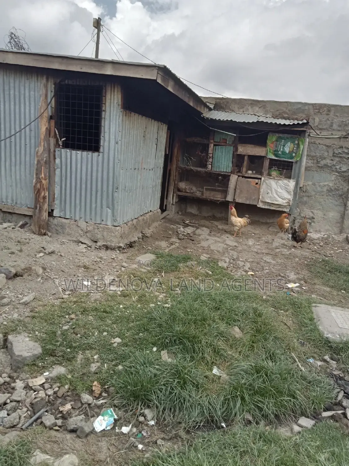 50 *100 Plot on Sale at Magumu Kinangop