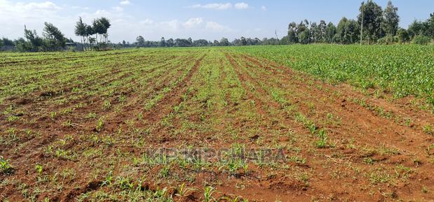 2 Acres For Sale In Moiben Junction Sergoit In Eldoret