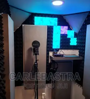 Vocal Coaching (Voice Vocals)