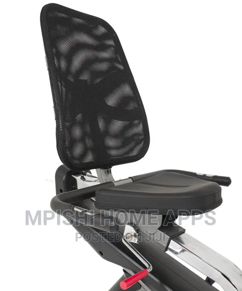 Recumbent Exercise Bike