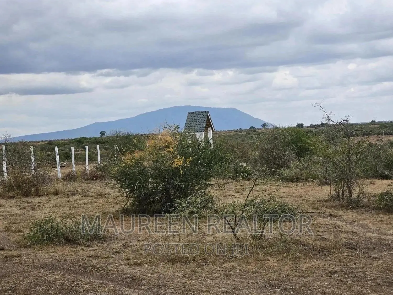 50 × 100 Plots Mwalimu Farm