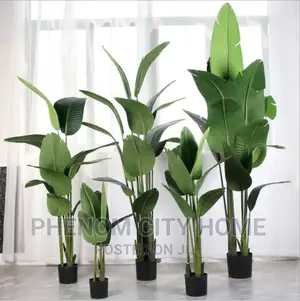Artificial Decor Plants