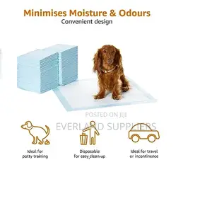Training Pads for Pets