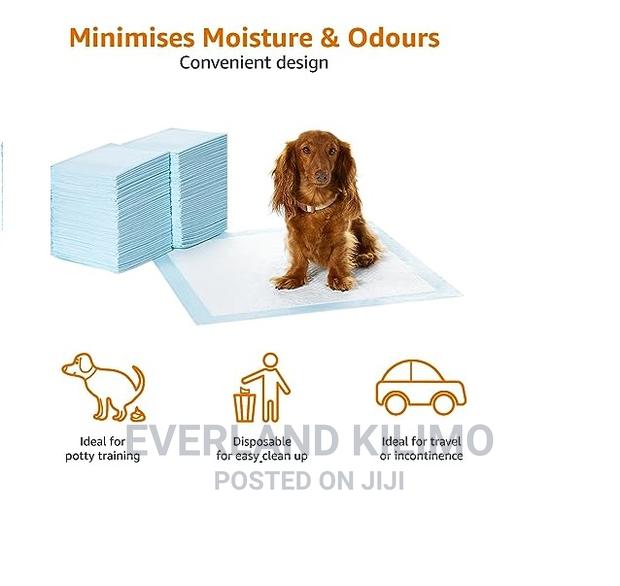 Training Pads for Pets - main view