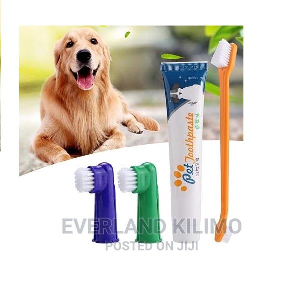 Pet Toothbrush Kit - main view