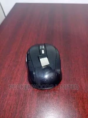 Classy Computer Mouse