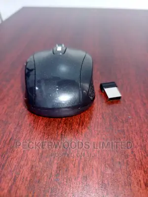 A Typical Wireless Computer Mouse
