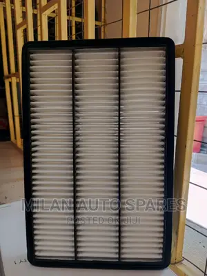 Mitsubishi Pajero V6 Genuine Air Cleaner.