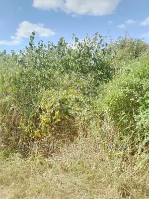 198acres Land For Sale With Title Deed