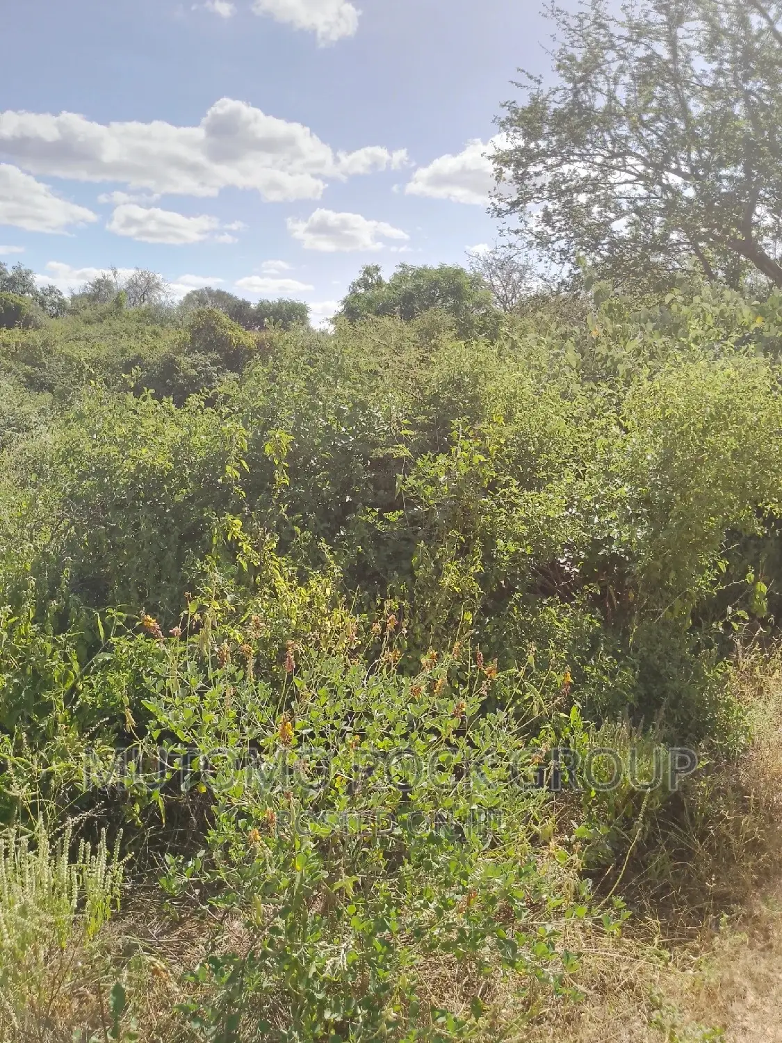 198acres Land For Sale With Title Deed