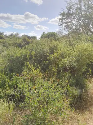 198acres Land For Sale With Title Deed