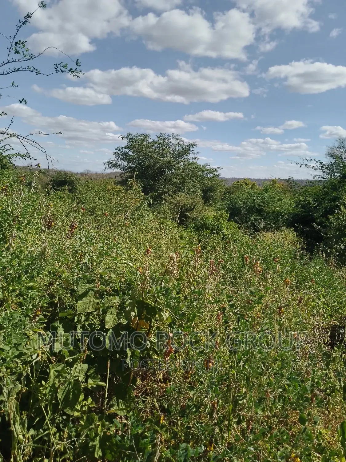 198acres Land For Sale With Title Deed