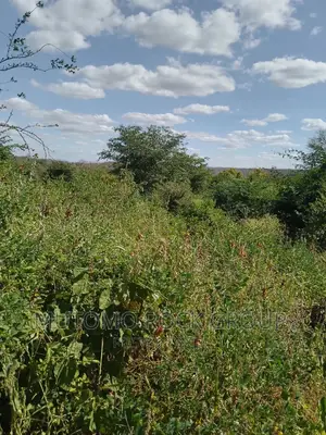 198acres Land For Sale With Title Deed