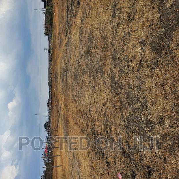 Prime Plots Along Kamakis Corner. ^KK - thumbnail 3