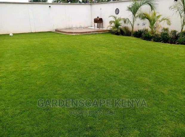 Garden Plants,Seeds,Trees, Fertilizers and Lawn Grass - thumbnail 18