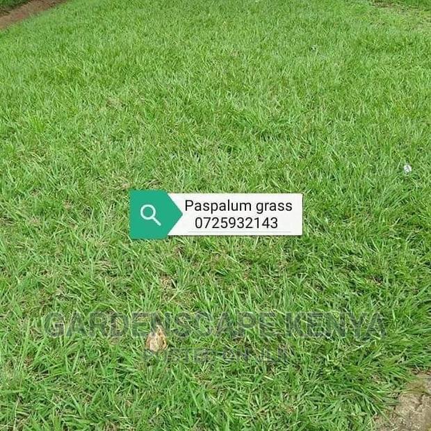 Garden Plants,Seeds,Trees, Fertilizers and Lawn Grass - thumbnail 20