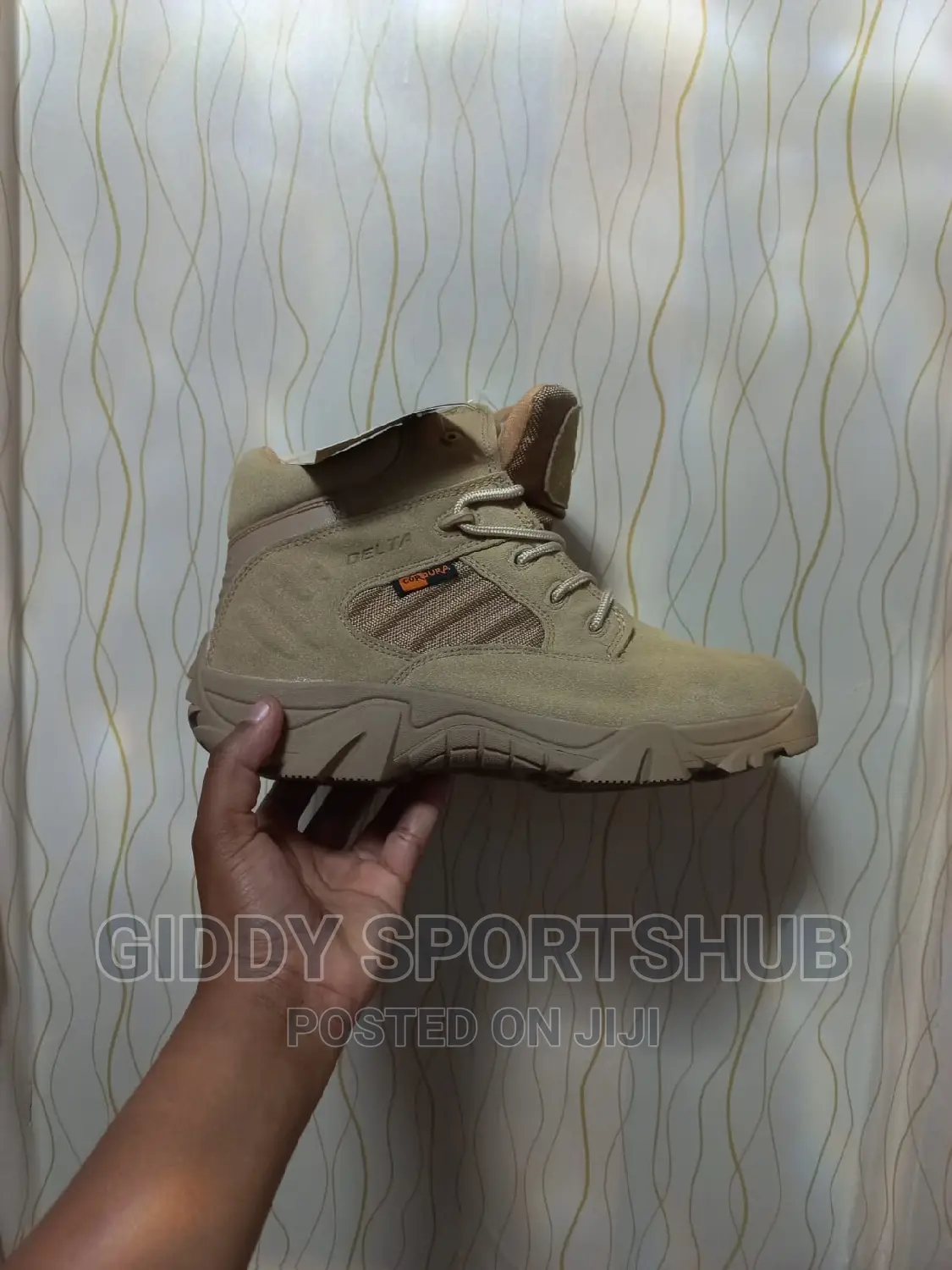 Hiking Boots  or Shoes 