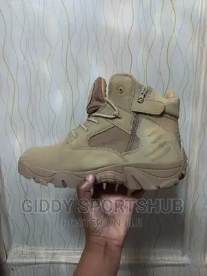 Hiking Boots  or Shoes 