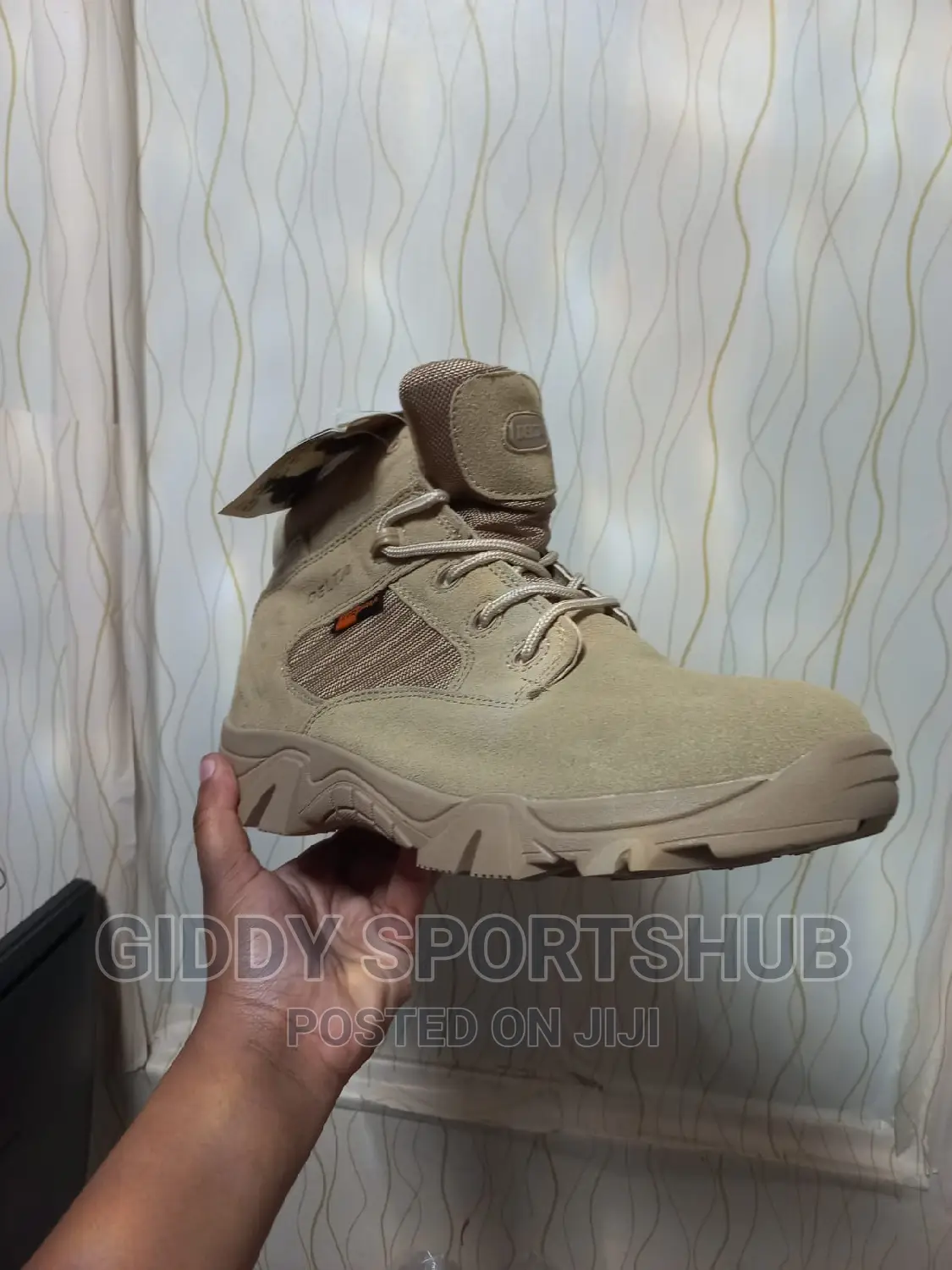 Hiking Boots  or Shoes 