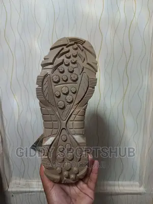Hiking Boots  or Shoes 