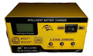 Bolaimei 12v/24v Intelligent Car Battery Fast