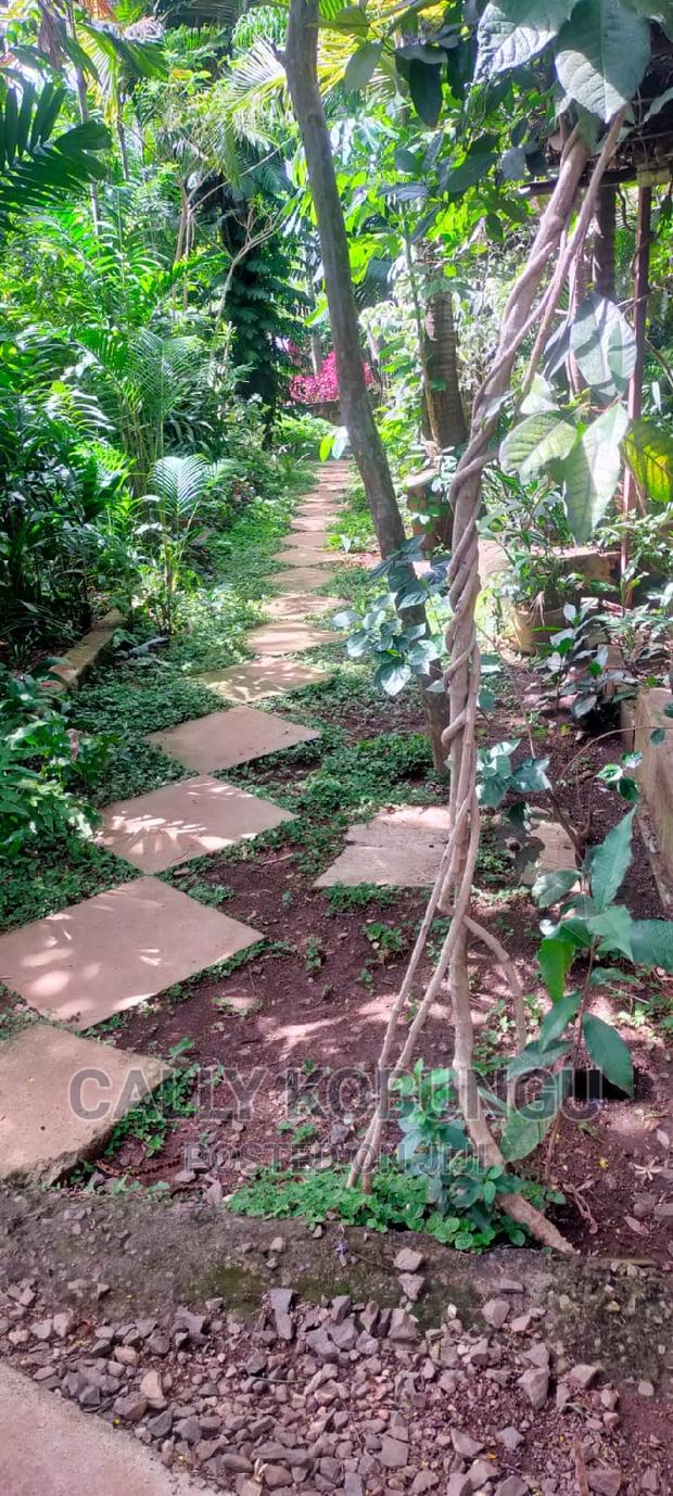 An Acre Plot in Milimani Developed - thumbnail 8