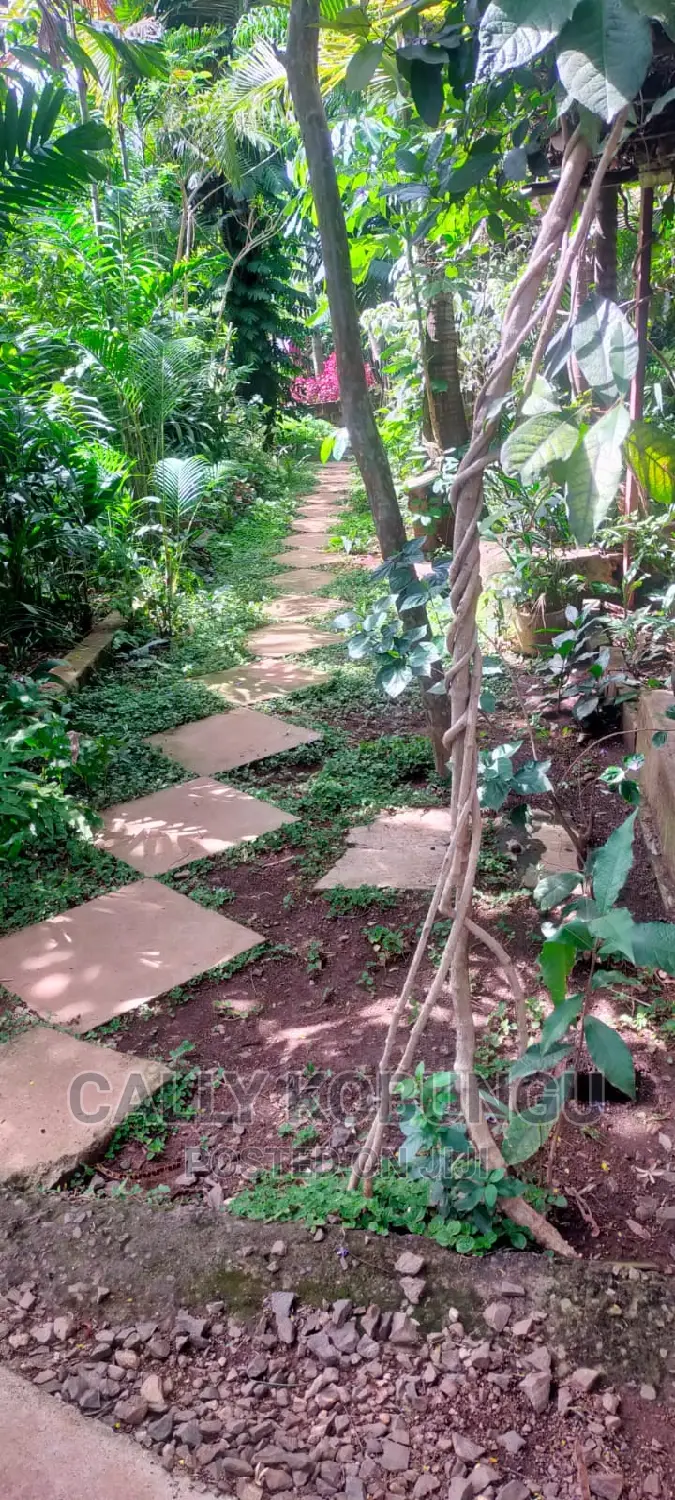 An Acre Plot in Milimani Developed