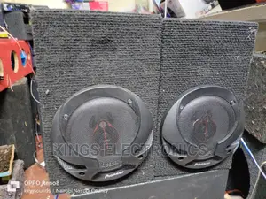 Pioneer Midranges.