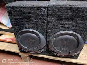 Pioneer Midranges.