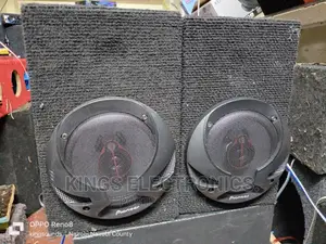Pioneer Midranges.