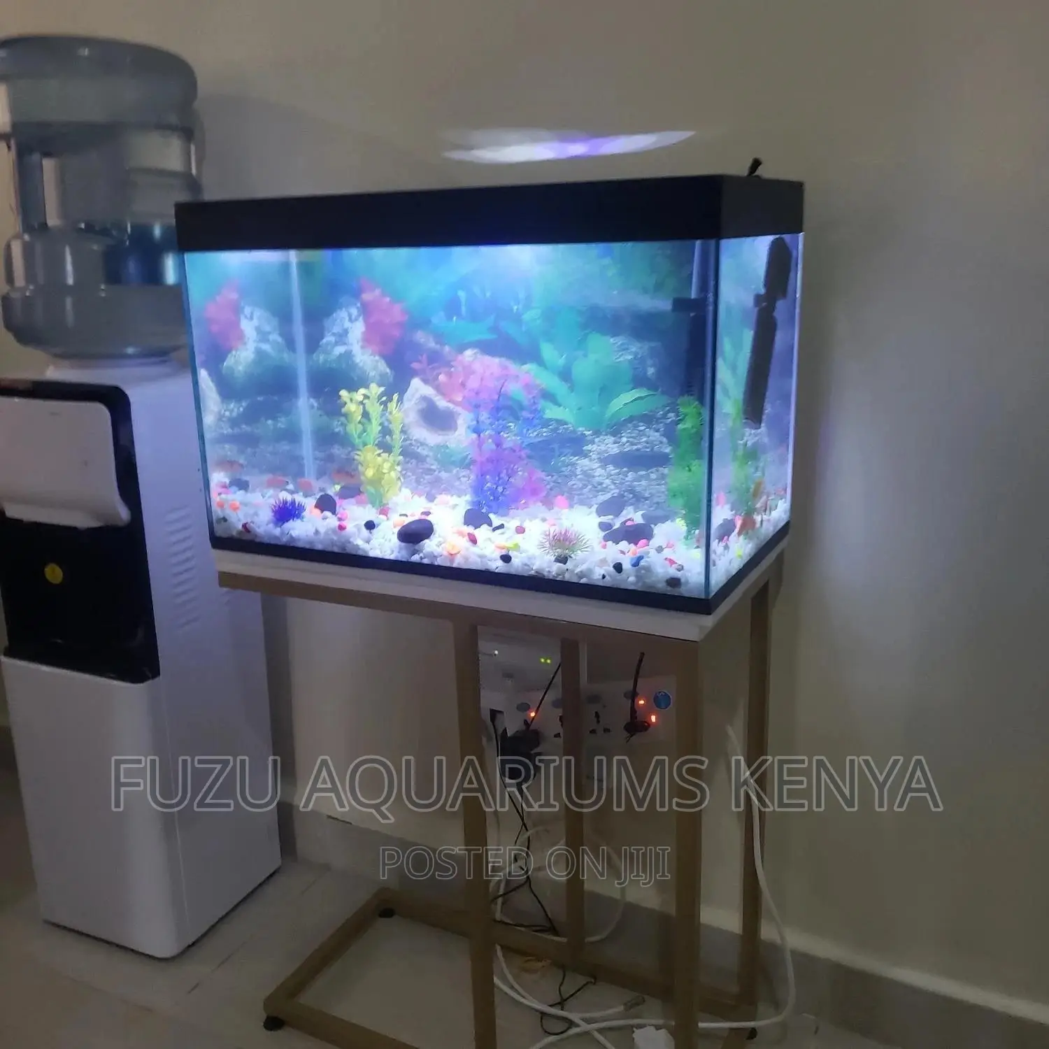 Two Feet Long Aquarium