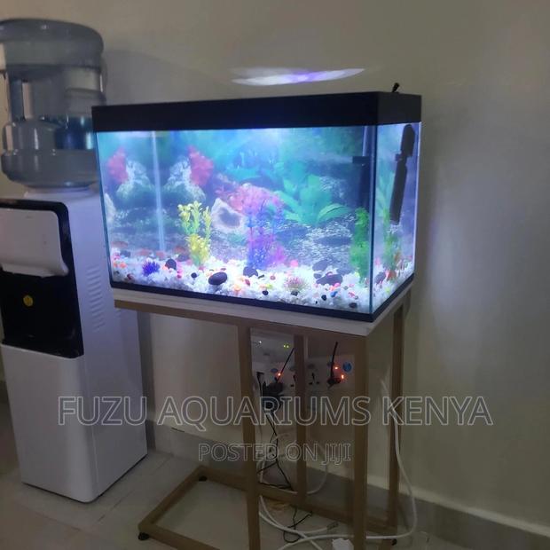 Two Feet Long Aquarium - main view