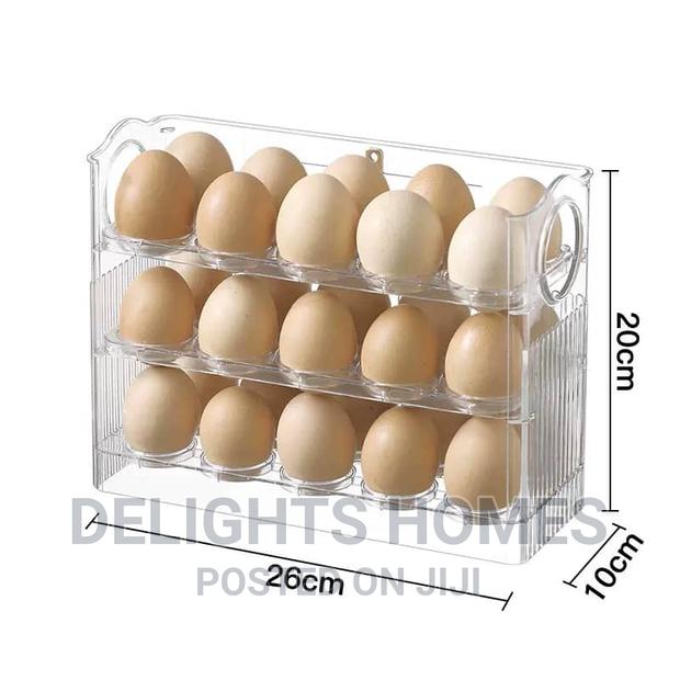 3 Layer Aclyric 30 Egg Storage Fridge Box