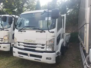 Isuzu Forward (Frr), Manual Diesel