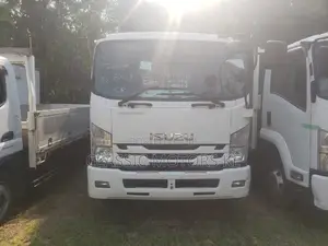 Isuzu Forward (Frr), Manual Diesel